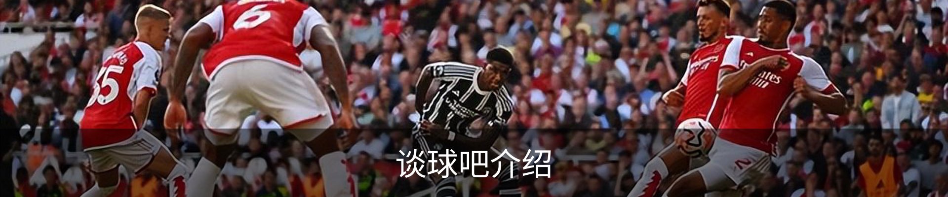 谈球吧介绍