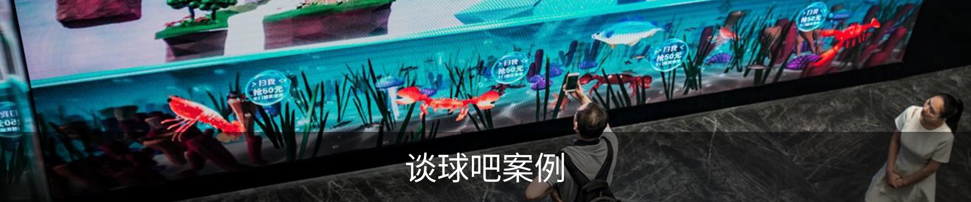 谈球吧案例